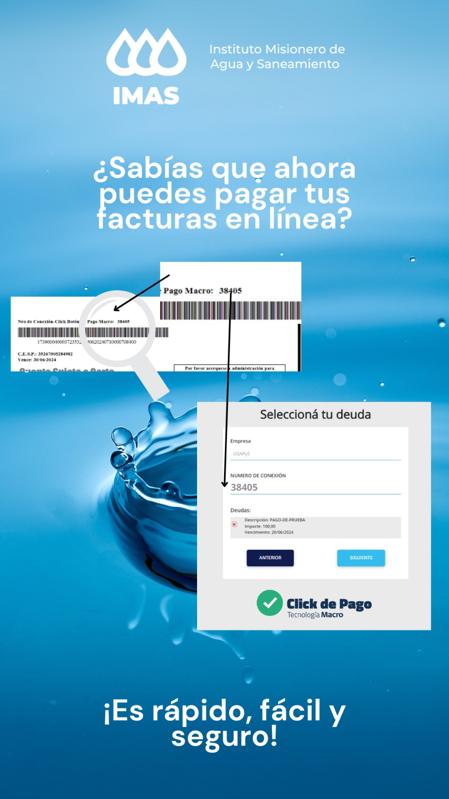 Habilitan pago online de facturas del Imas en San Pedro y Puerto Iguazú imagen-2