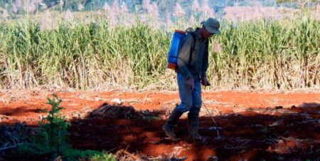 El MAM ratifica su rechazo al glifosato El MAM ratifica su rechazo al glifosato imagen-5