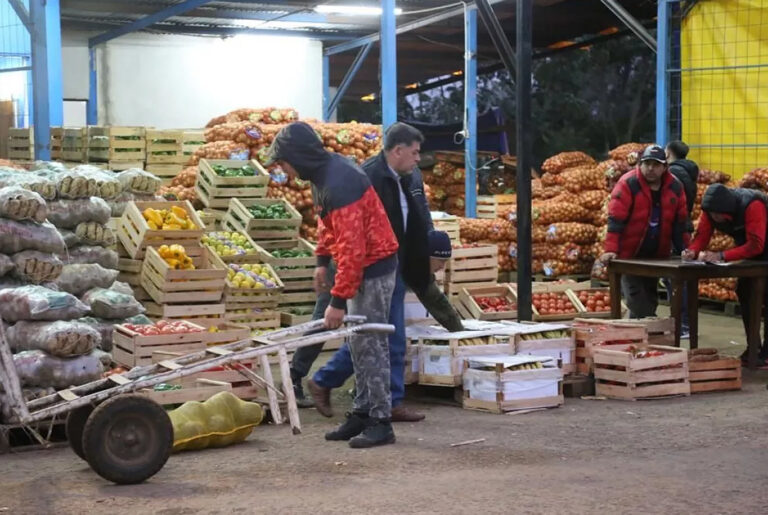 Aumentó la presencia de familias en el Mercado Central frente al alza de precios imagen-33