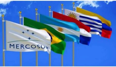 Cumbre del Mercosur: se busca reducción de aranceles, nuevo régimen de origen y la desdolarización imagen-8