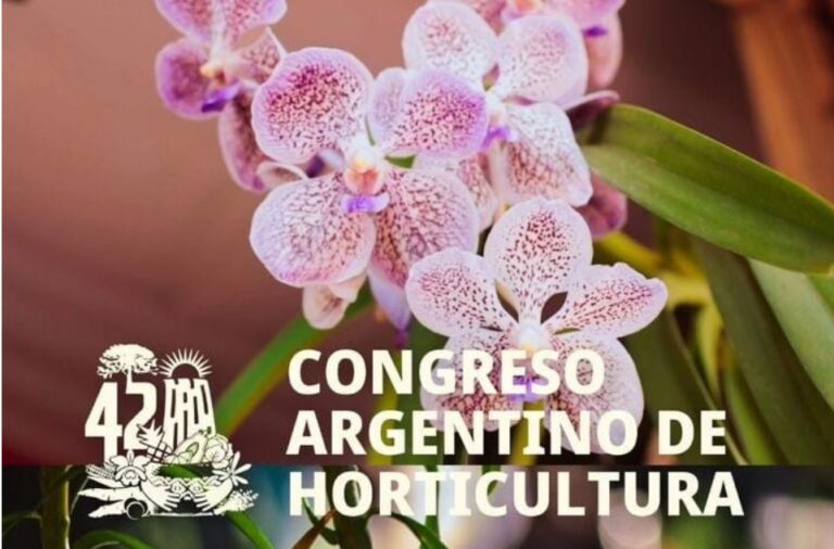 Misiones promocionará sus orquídeas cuando sea sede del Congreso Argentino de Horticultura imagen-50