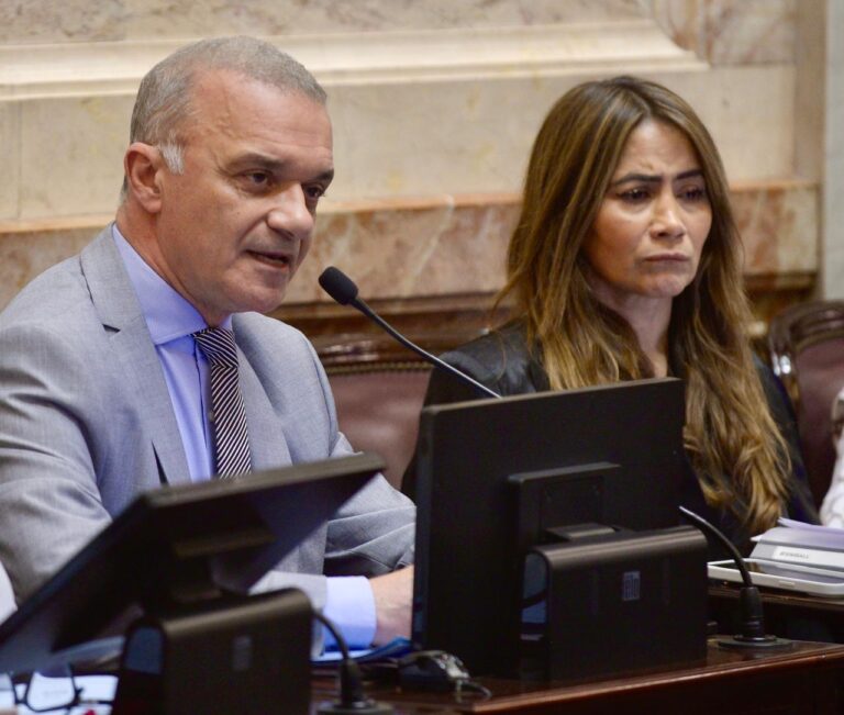 Senadores de la Renovación adhieren al duelo nacional en homenaje a las víctimas del atentado a la Amia imagen-16