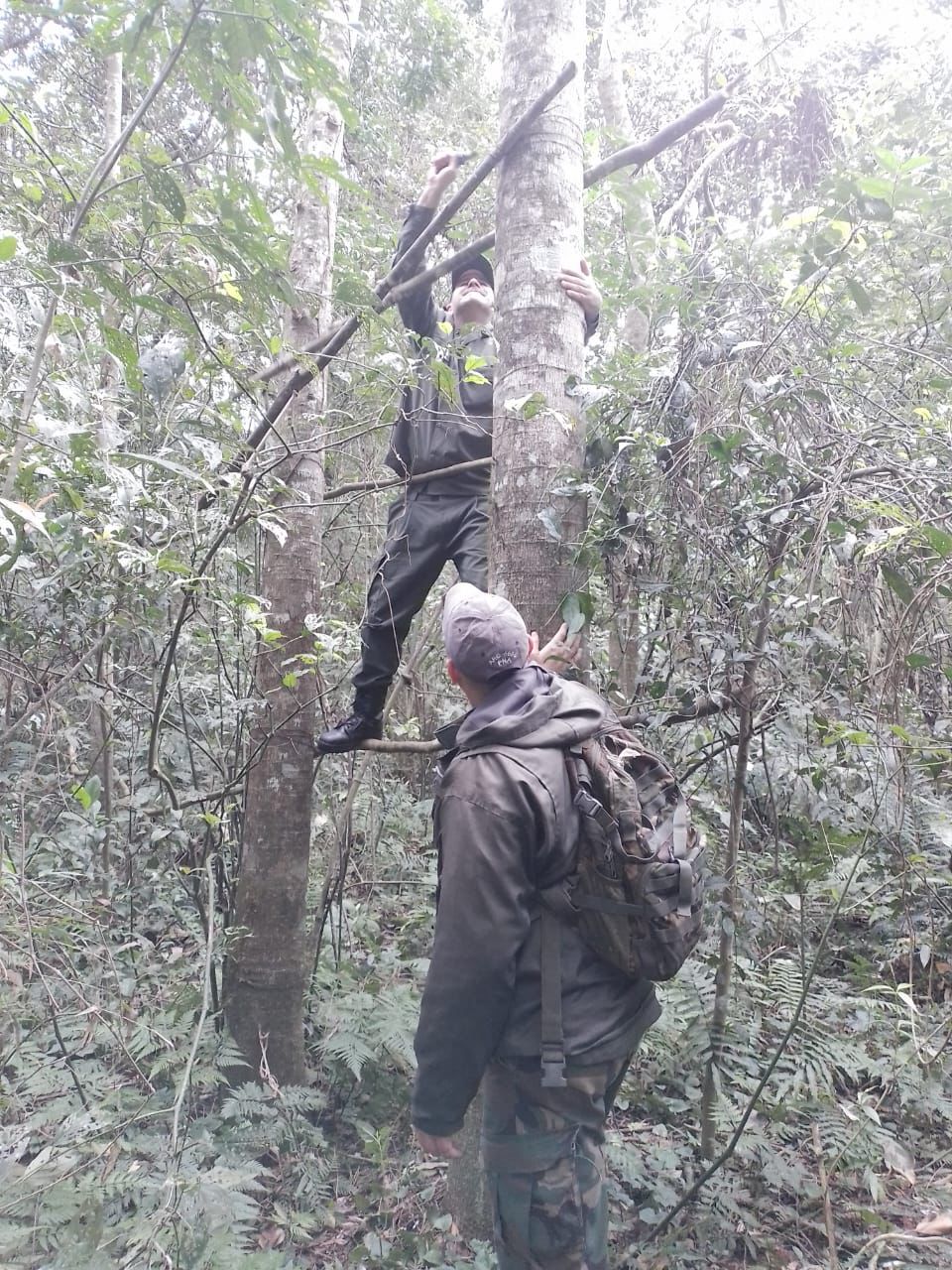 Destruyen campamento de cazadores furtivos en el Parque Provincial Puerto Península imagen-2