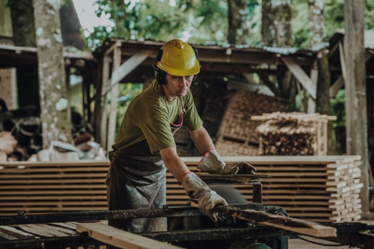 Sigue vigente la línea de créditos con tasa bonificada por la Provincia destinada al fortalecimiento del sector yerbatero y forestal imagen-6