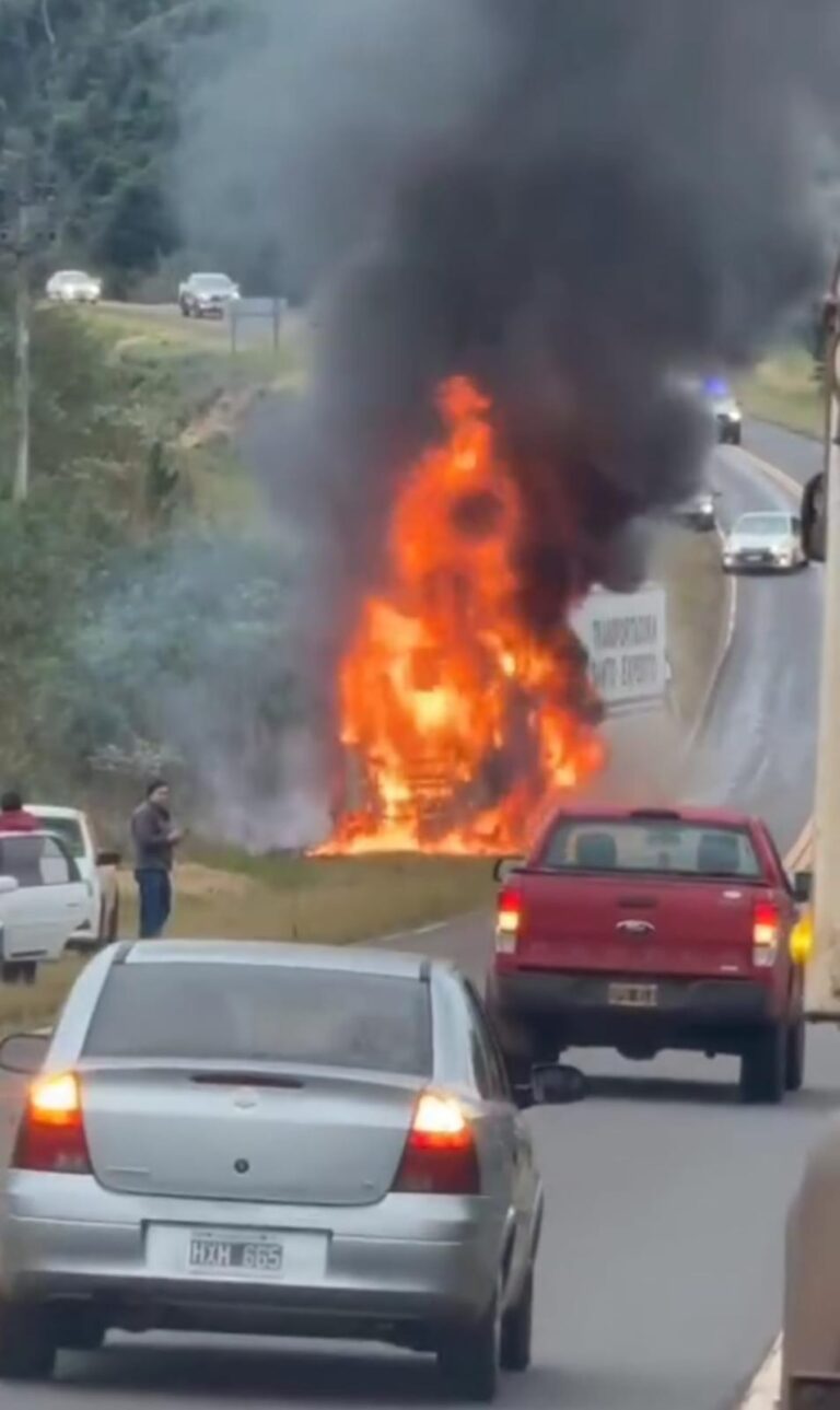 Camión se incendió en la ruta 12, cerca de San Ignacio imagen-27