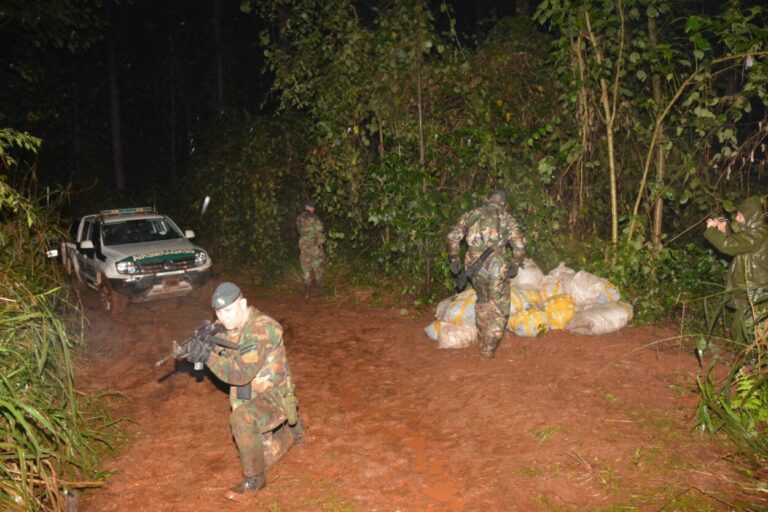 Incautan 514 kilos de marihuana en operativo nocturno imagen-33