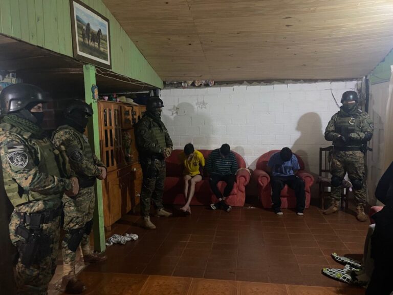 En allanamientos simultáneos arrestaron a los integrantes de la banda los "Pitocos" que operaban en Garupá imagen-39