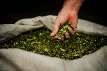 Passalacqua anunció ampliación de créditos yerbateros Passalacqua anunció ampliación de créditos yerbateros imagen-4