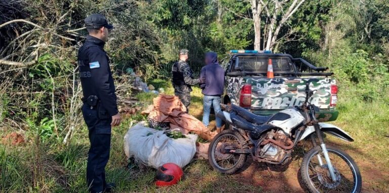 Lo detienen cuando robaba yerba y buscan al cómplice que ya está identificado Lo detienen cuando robaba yerba y buscan al cómplice que ya está identificado imagen-28