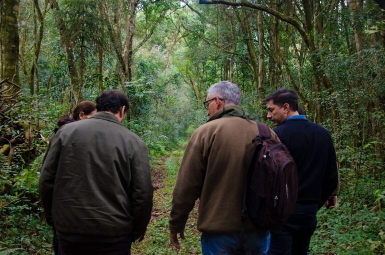 Colonia Gisela: familia comprometida con la selva suma su reserva privada al Sistema de Áreas Naturales Protegidas de Misiones imagen-27