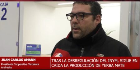 Desregulación yerbatera: «Se necesita tener un precio alto de la hoja verde porque está desfasado», dice cooperativista Desregulación yerbatera: "Se necesita tener un precio alto de la hoja verde porque está desfasado", dice cooperativista imagen-8