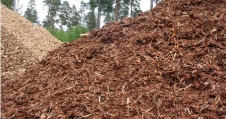 El Rigi despierta el interés de inversores por energías renovables misioneras imagen-1