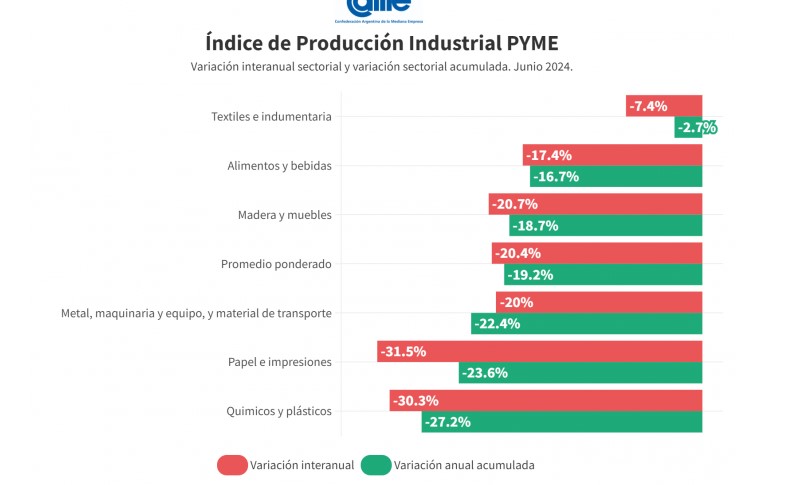 La industria pyme cayó 20,4% anual en junio imagen-10