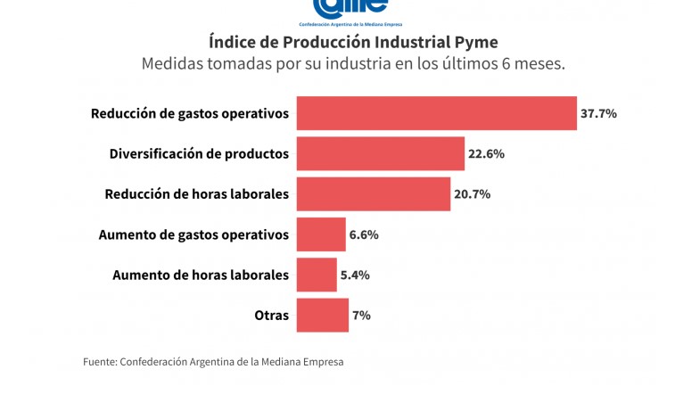 La industria pyme cayó 20,4% anual en junio imagen-8