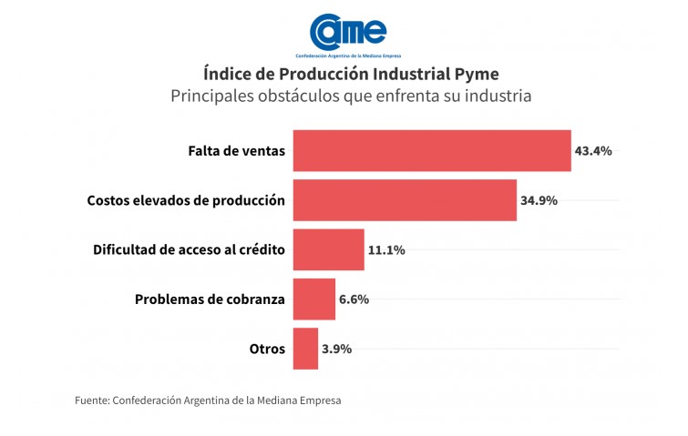 La industria pyme cayó 20,4% anual en junio imagen-6