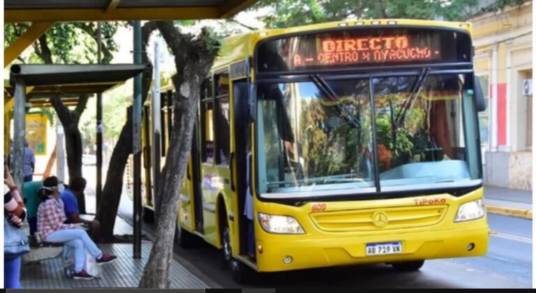 Tarifa del transporte: por el momento no hay actualización imagen-36