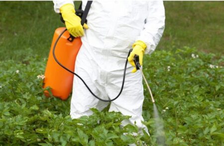 Sin glifosato: destacan que Misiones «sin ninguna duda» se encamina a ser la primer provincia de producción orgánica en Argentina y acusan a Diputado de no ir a trabajar en Comisión Sin glifosato: destacan que Misiones "sin ninguna duda" se encamina a ser la primer provincia de producción orgánica en Argentina y acusan a Diputado de no ir a trabajar en Comisión imagen-6