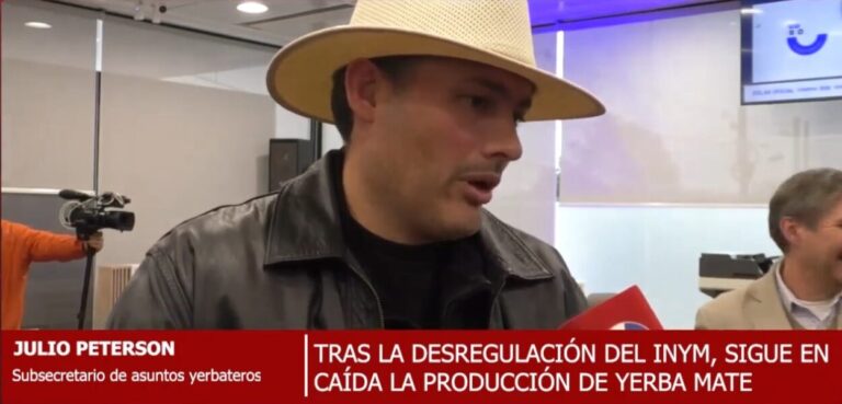 Desregulación yerbatera: "Es un festín para la industria, esto ya lo vivimos en la época de Menem y Puerta" imagen-42