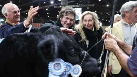 En La Rural, Javier Milei reivindicará el rol del campo pero no hará anuncios imagen-6