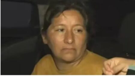Caso Loan: revelan que Laudelina Peña pidió perdón por mentir y dijo que al menor "se lo llevaron" imagen-4