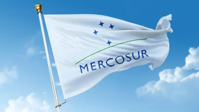 Exportaciones del Mercosur cayeron más de 4% en 2023 imagen-13