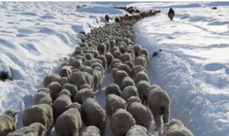 Ola polar en Argentina: el ranking de las 15 ciudades con temperaturas bajo cero imagen-4