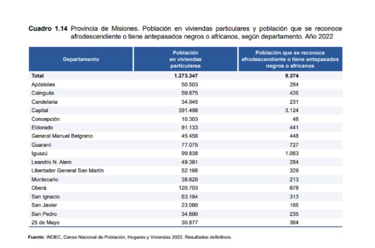 Censo 2022: en Misiones, los departamentos Capital e Iguazú con mayor población afrodescendiente imagen-49