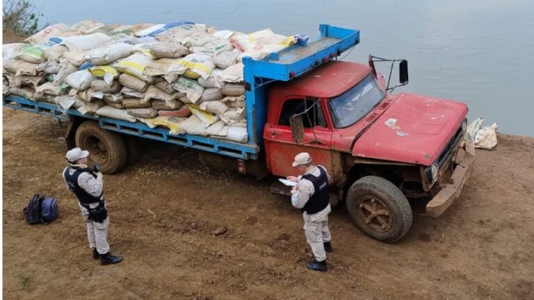 Secuestran más de ocho toneladas de soja en El Soberbio imagen-33