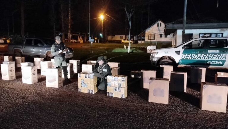 Gendarmería incautó más de 19.000 paquetes de cigarrillos de contrabando en camioneta abandonada imagen-15