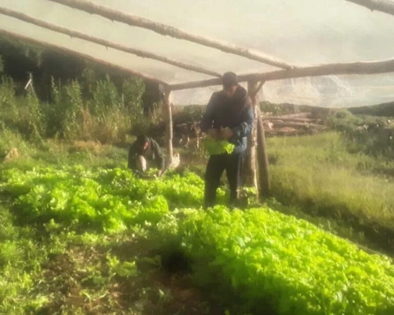 Agricultura Familiar Agroecológica: generando trabajo y riqueza sostenible imagen-26