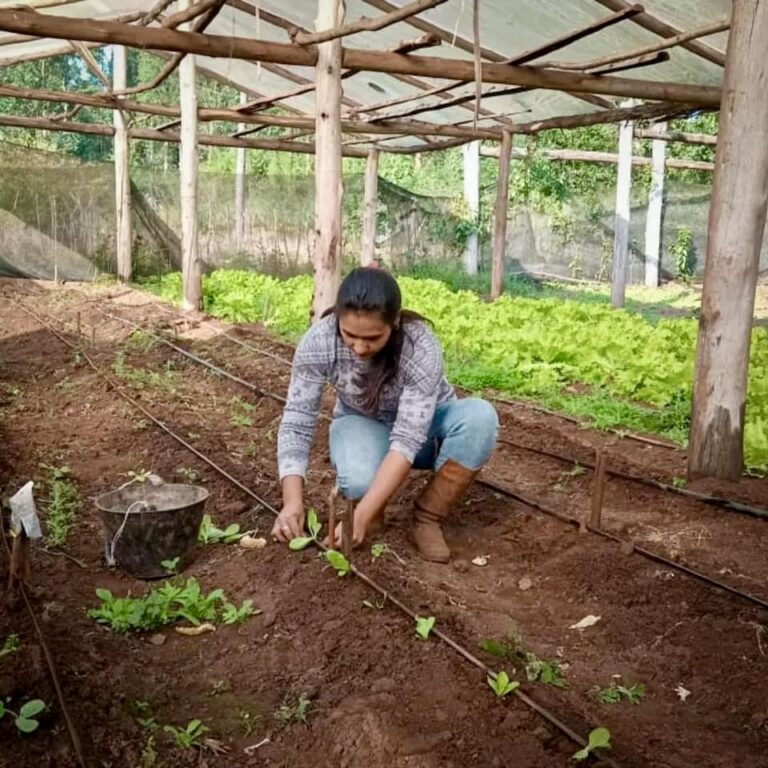 Producción Agroecológica: El camino al Buen Vivir imagen-39