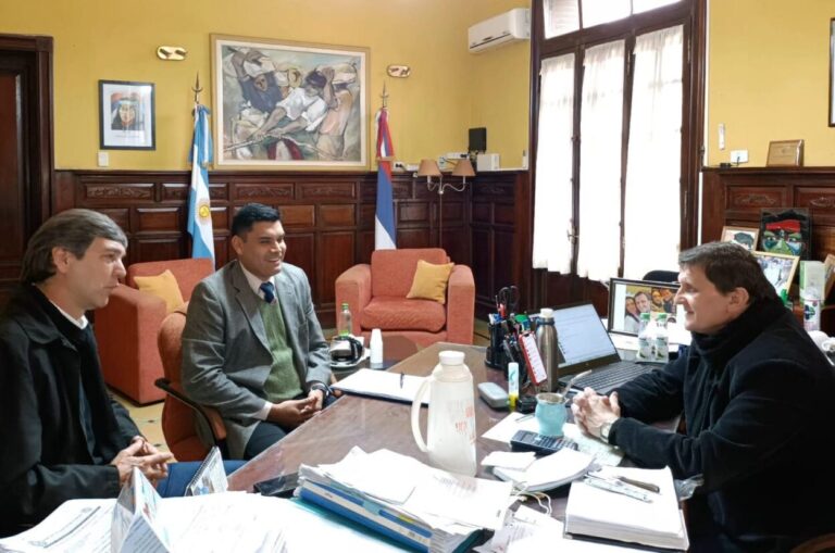 Con sugerencias de Hacienda, Campo Viera avanza en el proceso de creación de su Carta Orgánica Municipal imagen-9