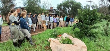 Continúan los trabajos para lograr yerbales sustentables imagen-6