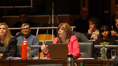 Parlamento provincial sancionó la Ley de Abordaje de la Encefalitis Límbica Autoinmune imagen-10