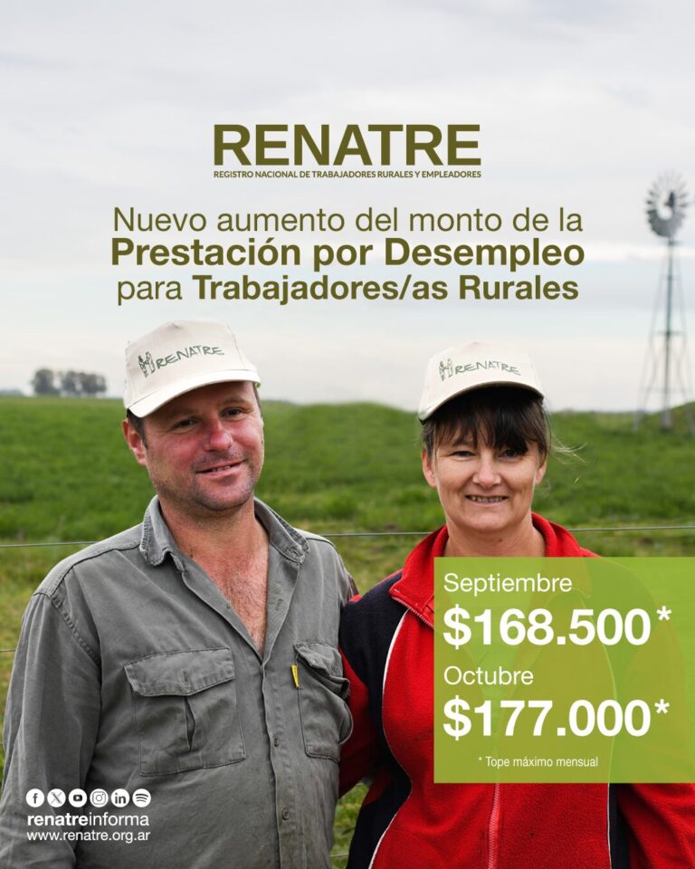 El Renatre aumentó por sexta vez en el año las prestaciones por desempleo, en septiembre será de $168.500 y en octubre $177.000 imagen-16