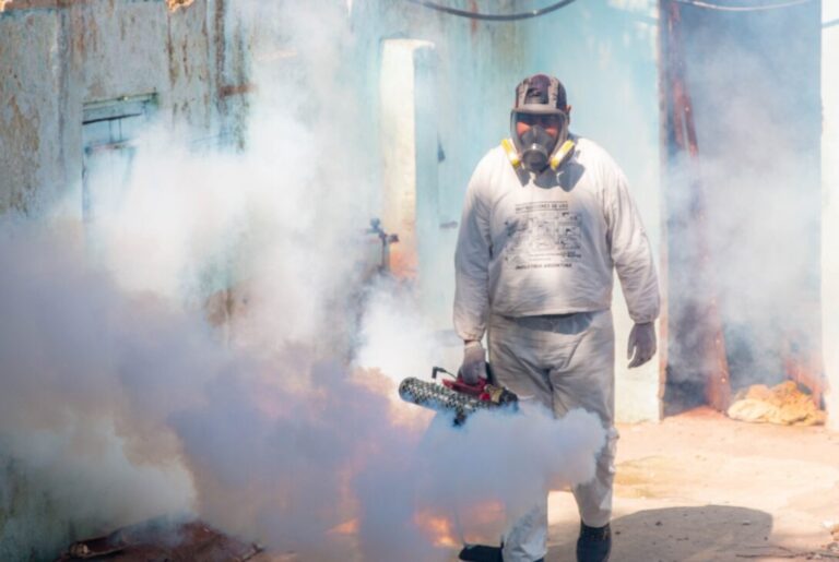 Se refuerzan acciones contra el dengue en barrios posadeños imagen-32