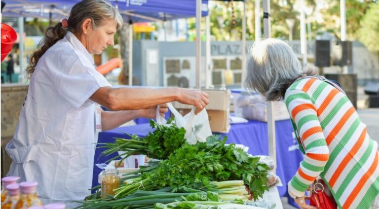 Las Ferias Francas celebran sus 29 años, con 5.000 familias llevando a estos centros de comercialización sus productos en toda la Provincia imagen-39