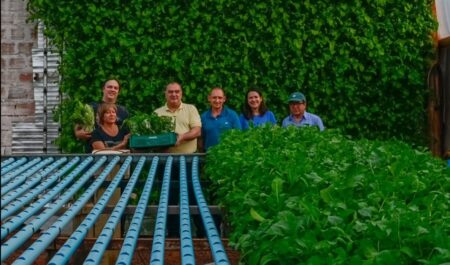 El Mercado Concentrador de Posadas sigue sumando productores imagen-8