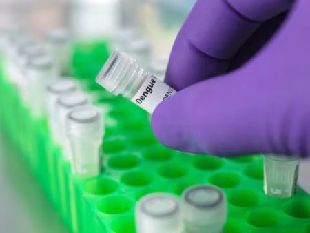 Dengue: cómo saber si una persona ya lo tuvo y cuál es la importancia de cara a la próxima temporada imagen-5