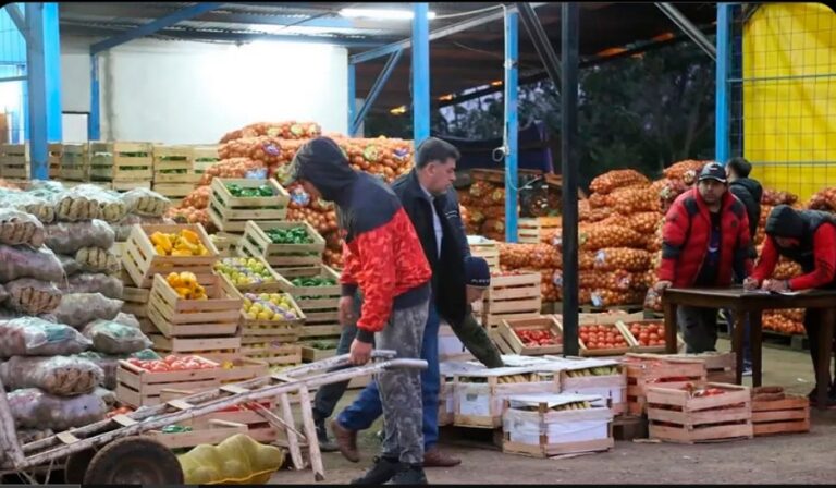 El Mercado Central atiende este martes en horario habitual imagen-2