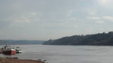 El cine misionero sigue copando las pantallas de la provincia El cine misionero sigue copando las pantallas de la provincia imagen-10