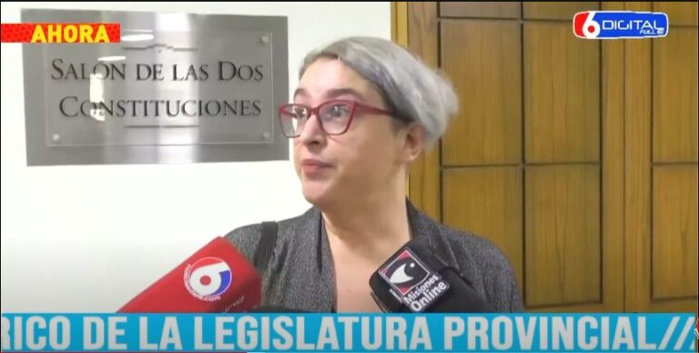 Representante de Familias con TEA celebró la implementación de Nuevos Sistemas de Comunicación Alternativos en la Legislatura imagen-9