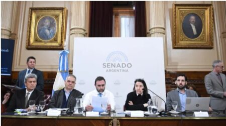 Senado: pese a resistencia del Gobierno, oposición avanzó en reforma para jubilados Senado: pese a resistencia del Gobierno, oposición avanzó en reforma para jubilados imagen-10