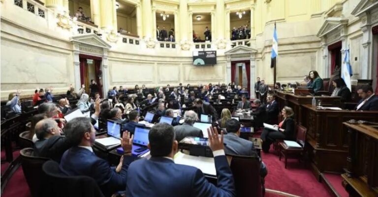 Senado aprobó reforma jubilatoria y resta conocer si Milei la vetará imagen-10