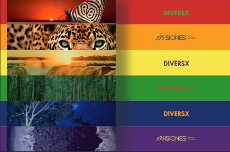 Turismo Lgbtiq+: Misiones participará en Gnetwork 360 donde se espera a más de 1.800 personas de 18 países Turismo Lgbtiq+: Misiones participará en Gnetwork 360 donde se espera a más de 1.800 personas de 18 países imagen-8
