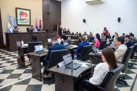 Cambio climático: concejales posadeños aprueban medidas para avanzar con su reducción imagen-4