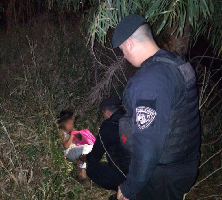 Tras operativo de búsqueda ubicaron en el monte a una niña desaparecida en Aristóbulo del Valle imagen-23