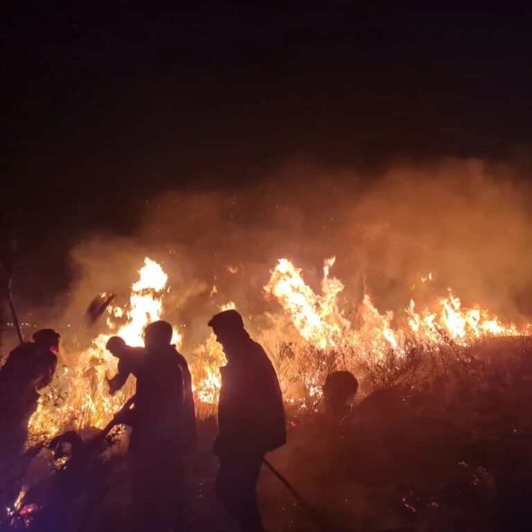 Bomberos de la Policía hicieron frente a 23 incendios en las últimas horas imagen-15