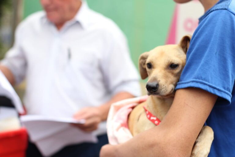 Cronograma de la cobertura del Imusa con atención veterinaria en los barrios posadeños imagen-25