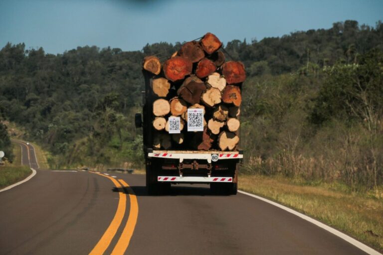 Gracias a un código QR en los camiones, cualquier ciudadano podrá saber origen y destino de la madera nativa transportada por rutas de Misiones imagen-40